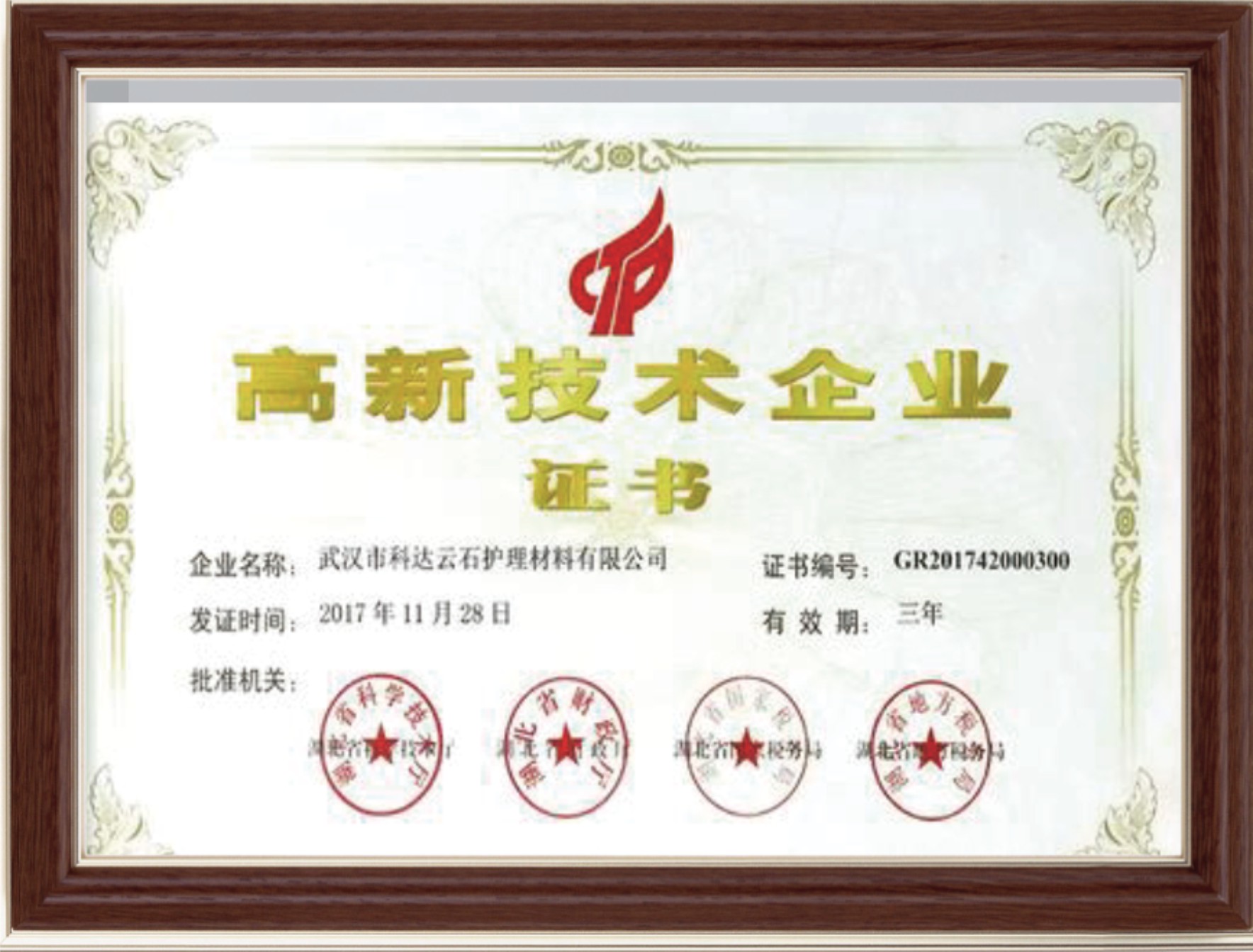 high-tech enterprise