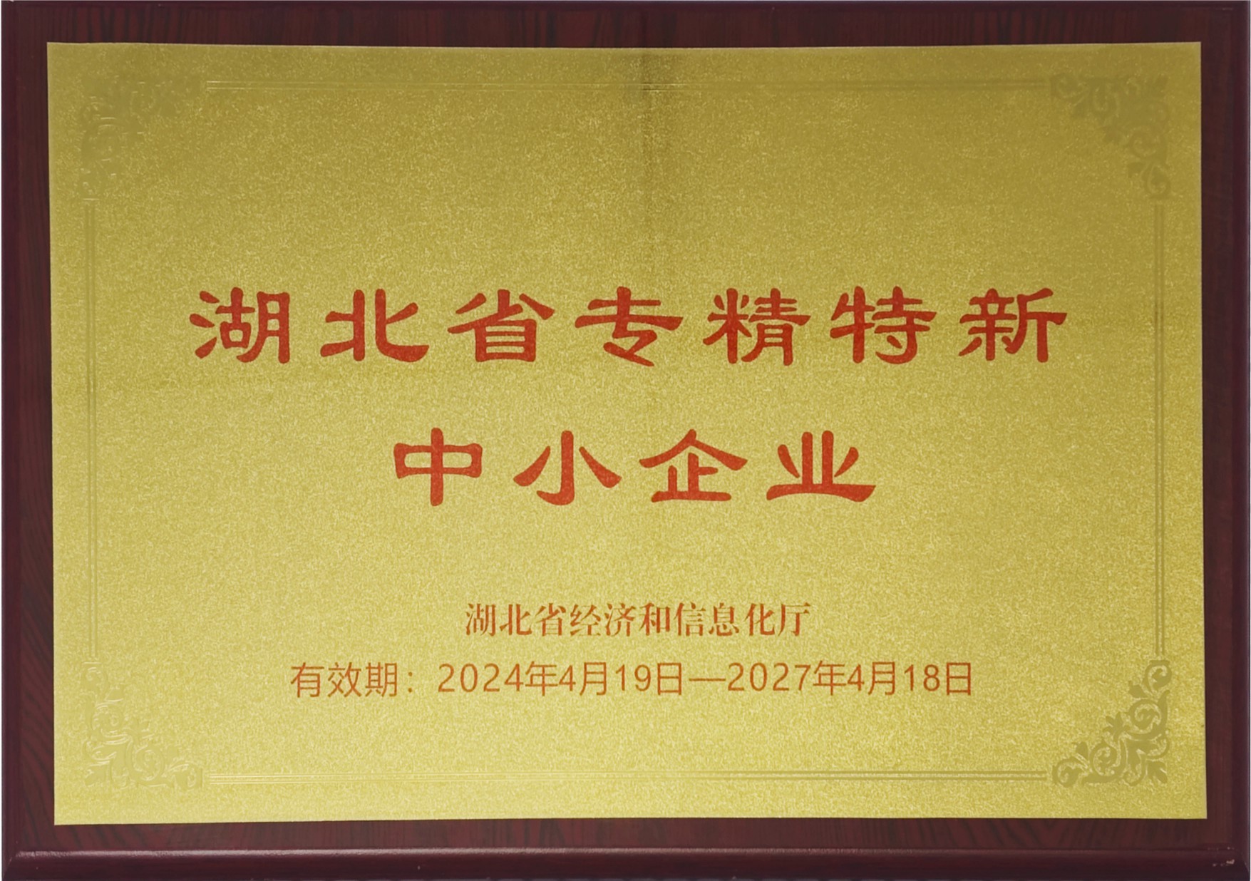 Hubei province specialized special new small and medium-sized enterprises