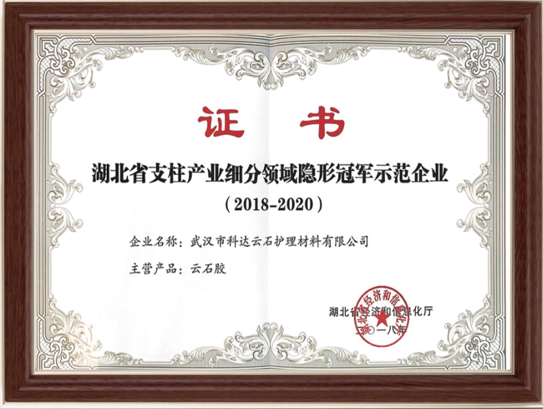 Hubei province pillar industry segmentation field invisible champion demonstration enterprise